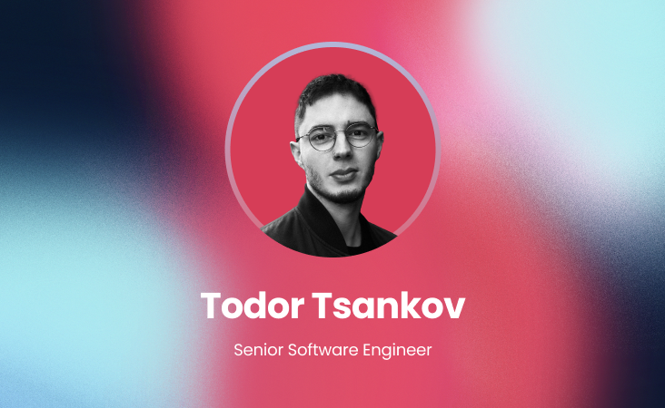 Team profile todor